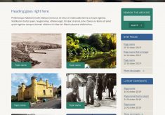 Newport on Tay History