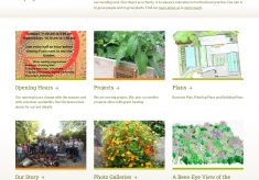 Serpentine Community Garden